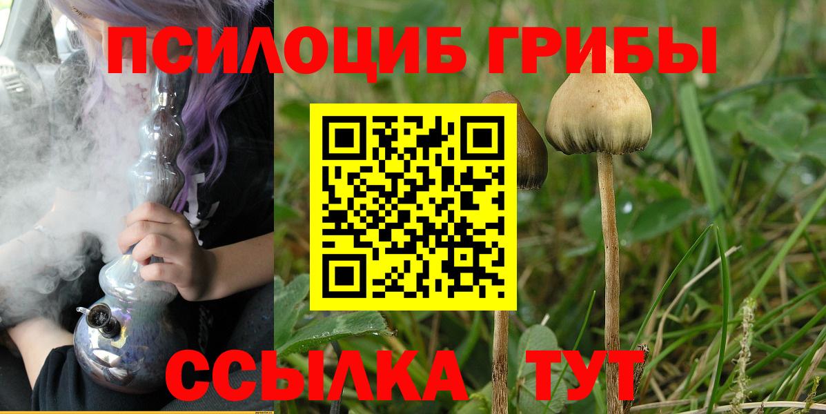 Галлюциногенные грибы Psilocybe Дивногорск
