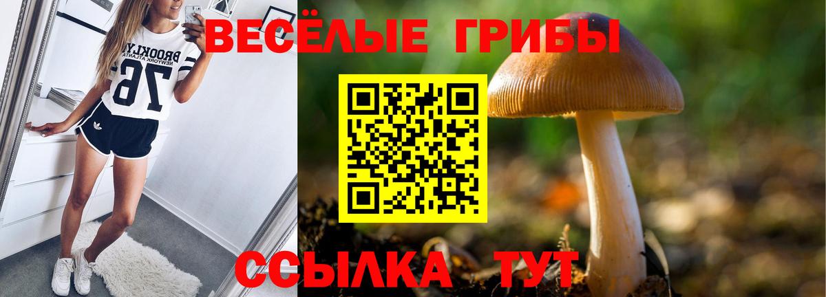 Псилоцибиновые грибы мухоморы  Вход с VPN  Дивногорск  Псилоцибиновые грибы мицелий 