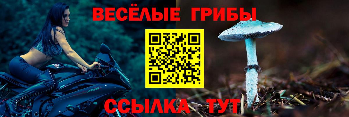 Галлюциногенные грибы GOLDEN TEACHER  Дивногорск 